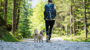 pet supplies for hike